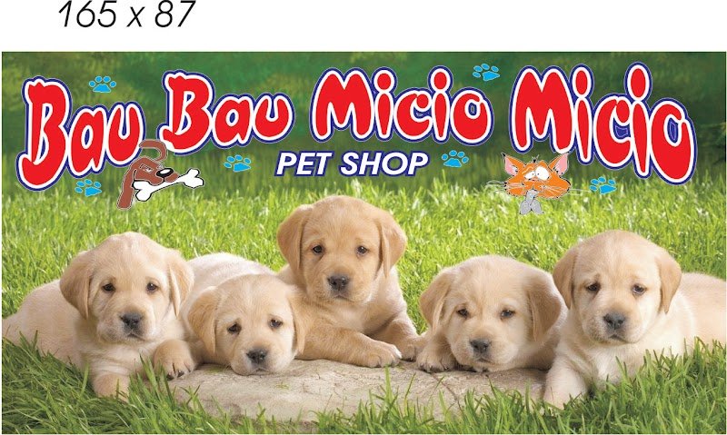 Bau Bau Micio Micio - Foto 3