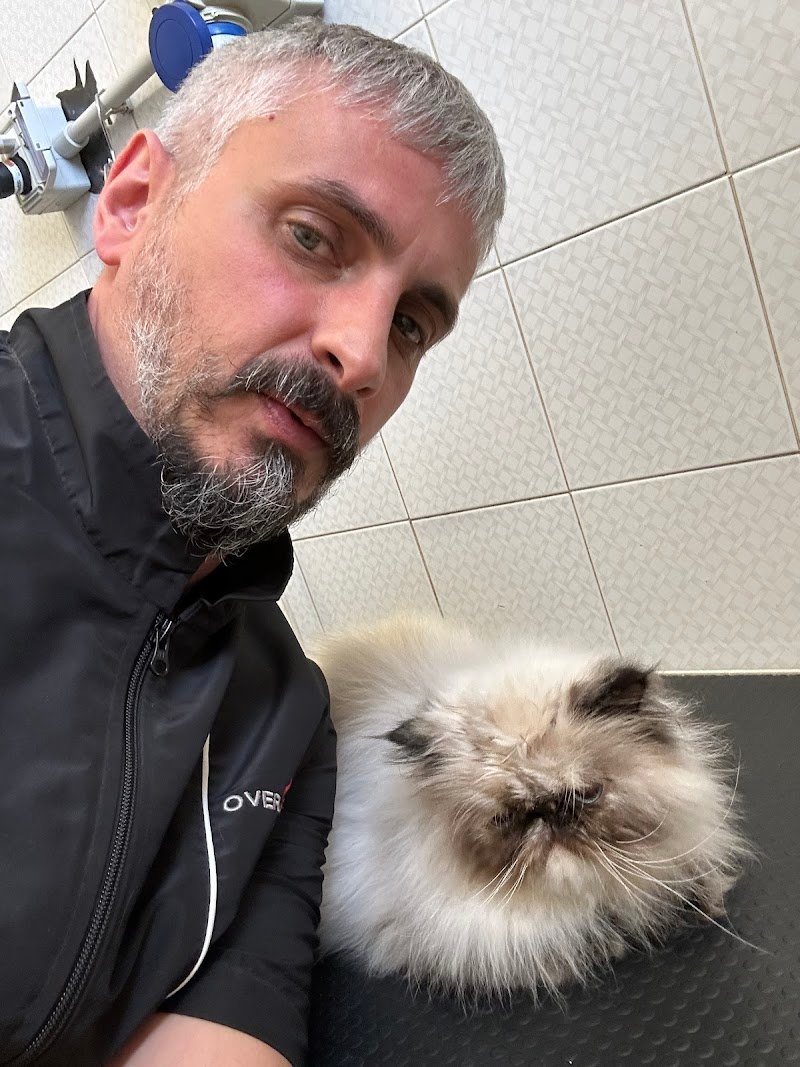 Bau Bau Micio Micio - Foto 1