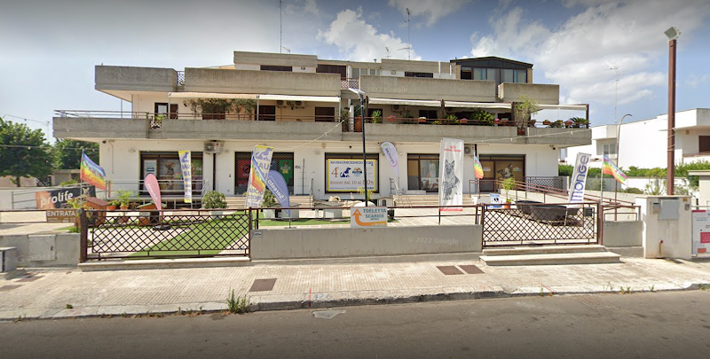 Bau Bau Micio Micio Store - Foto 1