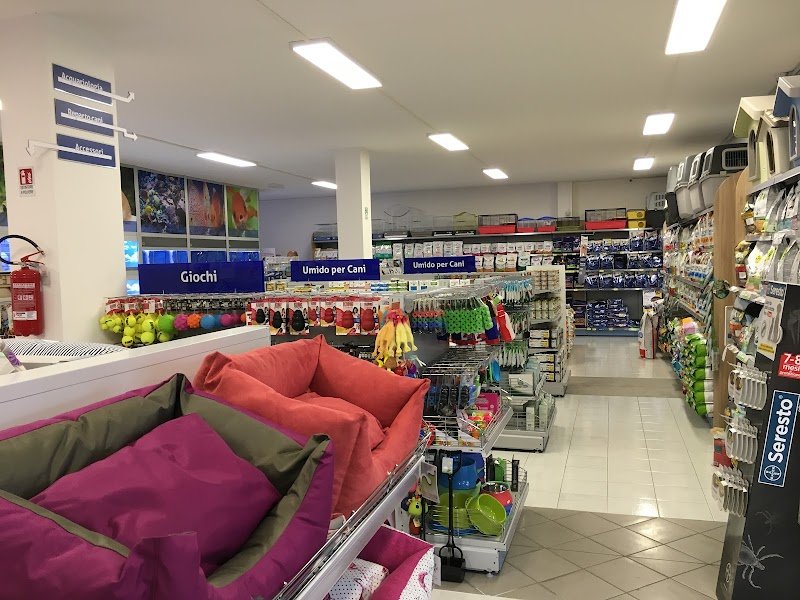 Bau Bau Micio Micio Store - Foto 2