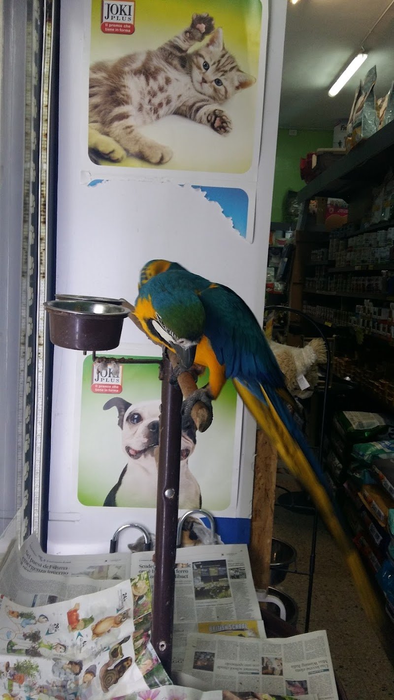 Bau Bau Micio Micio Store - Foto 3