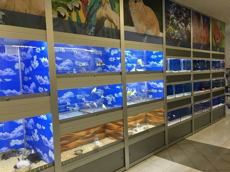 Bau Bau Micio Micio Store - Foto 4