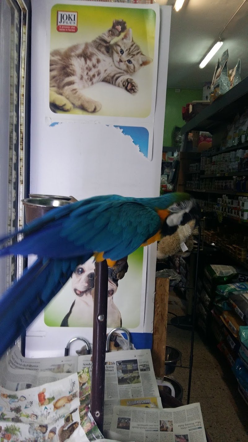 Bau Bau Micio Micio Store - Foto 6