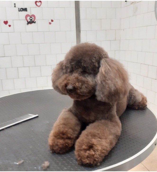 Bau E Mao Di Marina Casadio - Foto 1