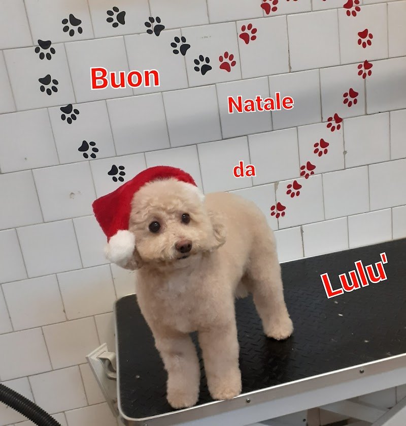 Bau E Mao Di Marina Casadio - Foto 2