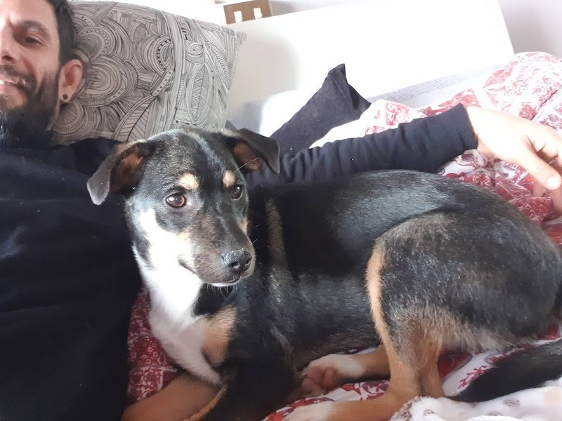 Bau E Mao Di Marina Casadio - Foto 3