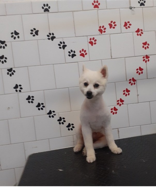 Bau E Mao Di Marina Casadio - Foto 4