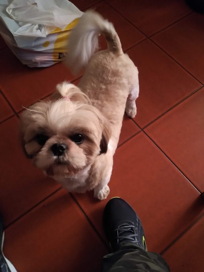 Bau E Mao Di Marina Casadio - Foto 5