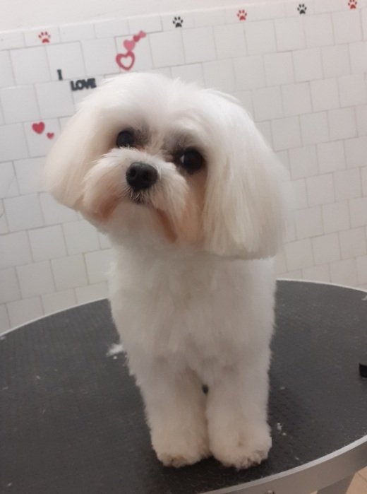 Bau E Mao Di Marina Casadio - Foto 6