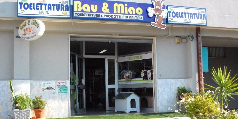 Bau e Miao Pet Shop - Foto 1