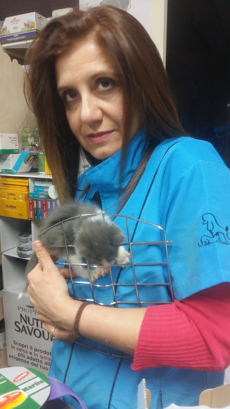 Bau e Miao Pet Shop - Foto 3