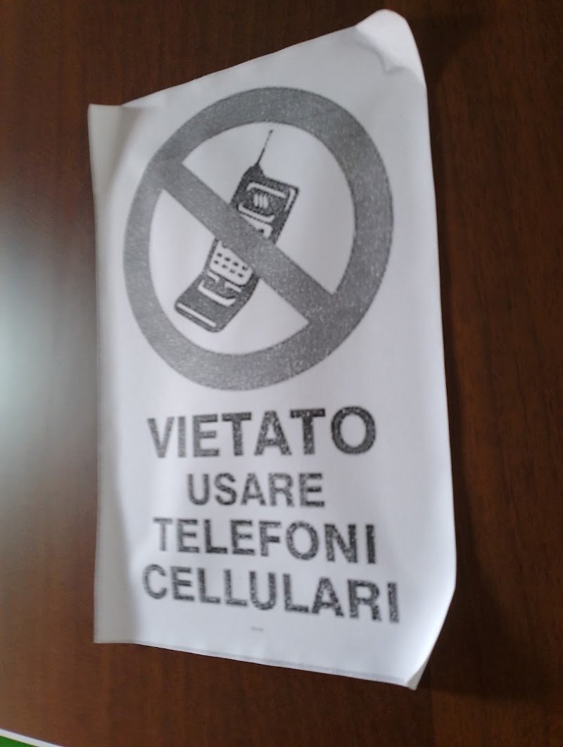 Bau e Miao Pet Shop - Foto 4