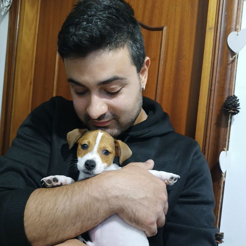 Bau & Miao Pets Market - Foto 3