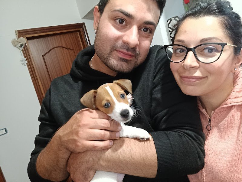 Bau & Miao Pets Market - Foto 6