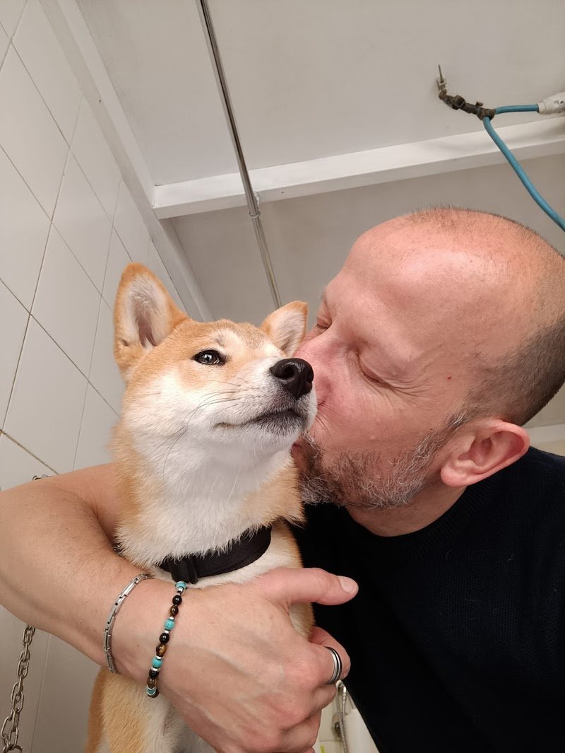 Bau Miao Toelettature Per Cani E Gatti - Foto 4