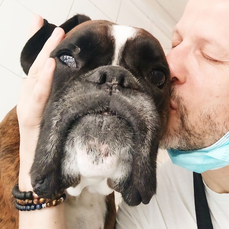 Bau Miao Toelettature Per Cani E Gatti - Foto 5