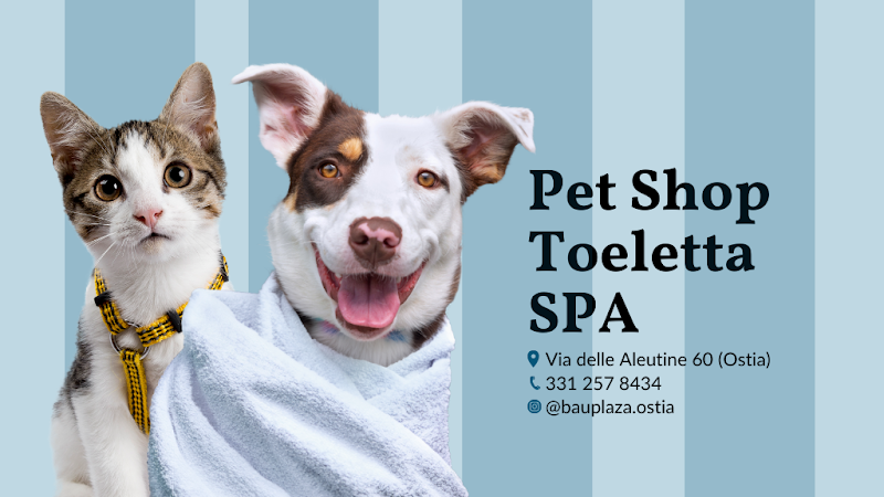 Bau Plaza - Toeletta, SPA e Pet Shop - Foto 1