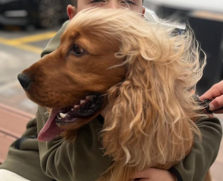 Bau Plaza - Toeletta, SPA e Pet Shop - Foto 4