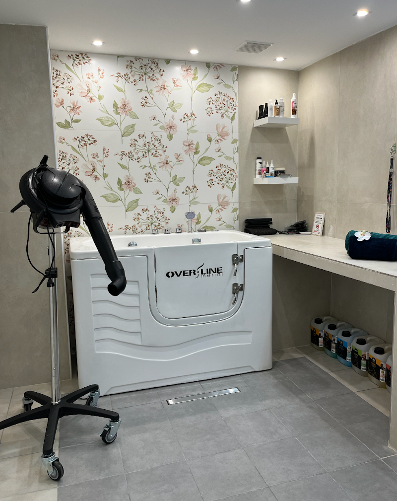 Bau Plaza - Toeletta, SPA e Pet Shop - Foto 6