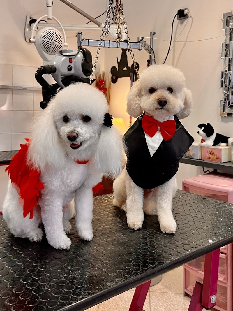 Bau Style di Skiladz Monika Iwona - Foto 3