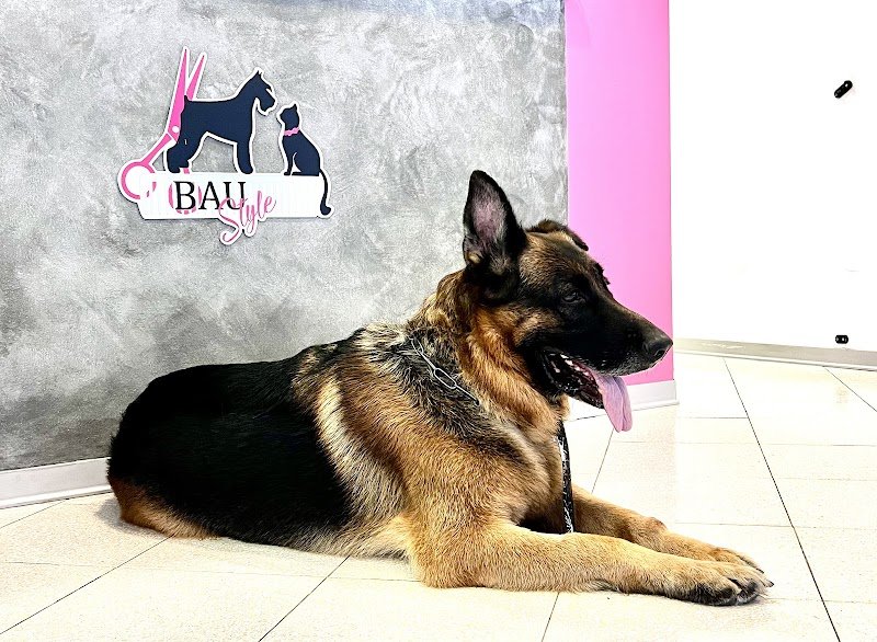 Bau Style di Skiladz Monika Iwona - Foto 4