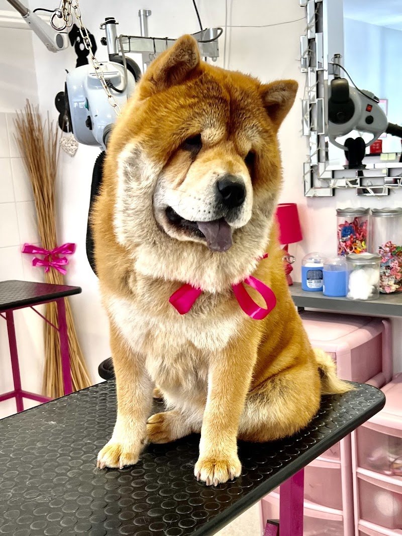 Bau Style di Skiladz Monika Iwona - Foto 5