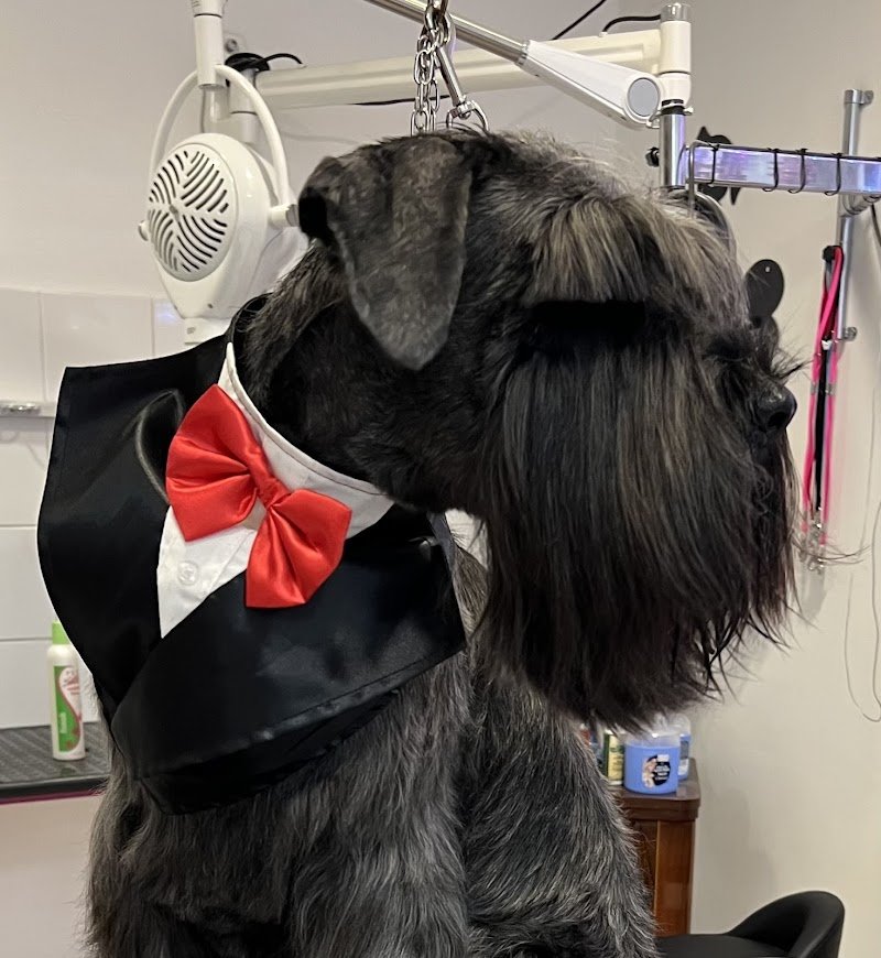 Bau Style di Skiladz Monika Iwona - Foto 6