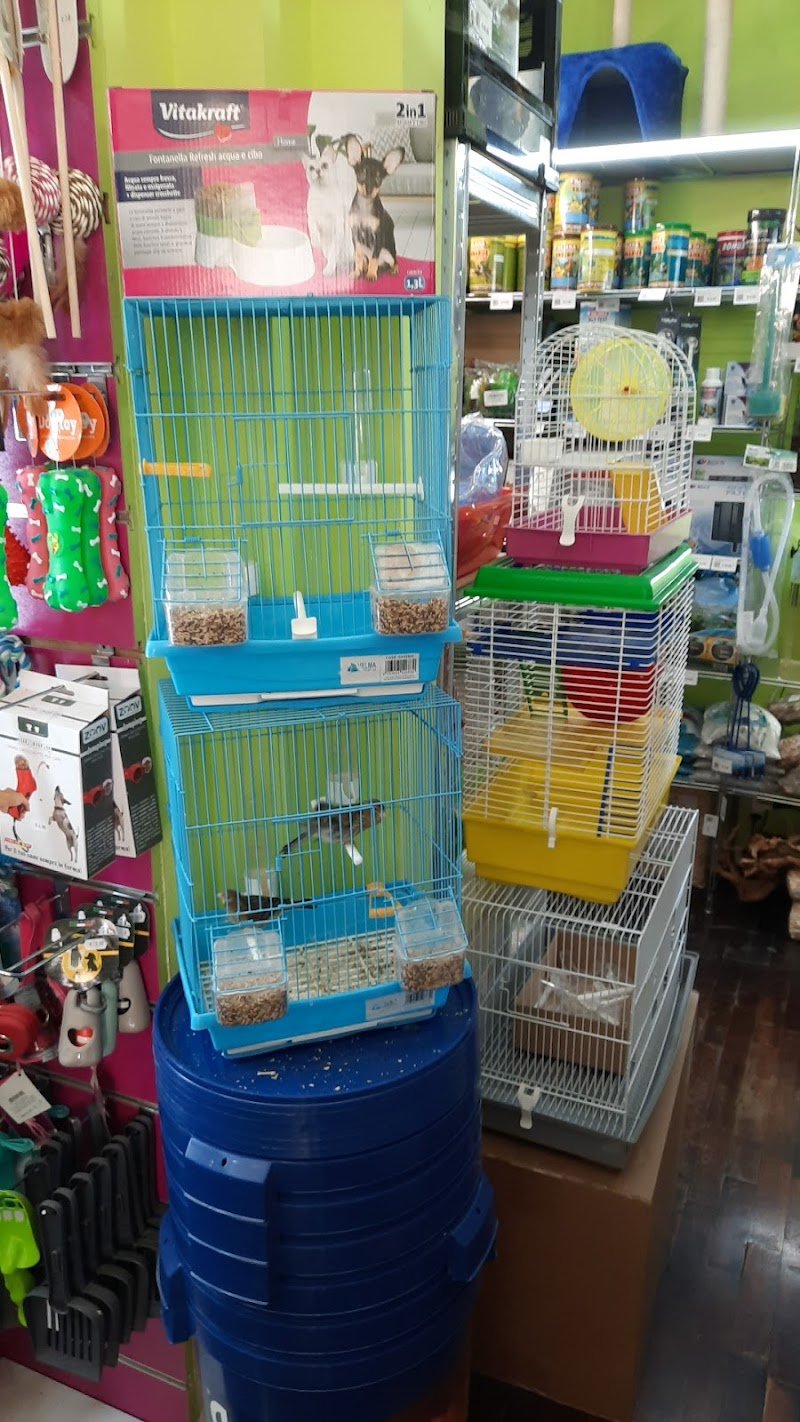 BauBau MicioMicio di Zinna Clelia - Foto 1