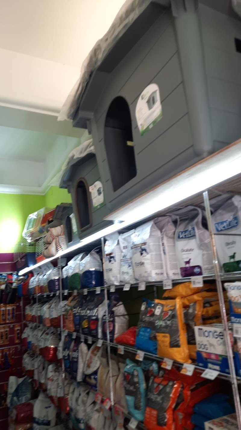 BauBau MicioMicio di Zinna Clelia - Foto 6