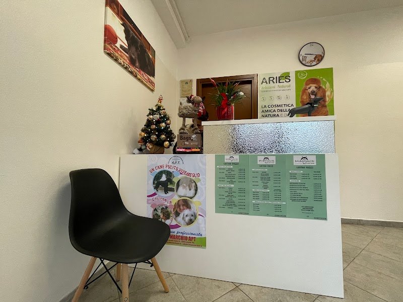 BaubauSalon - Foto 5