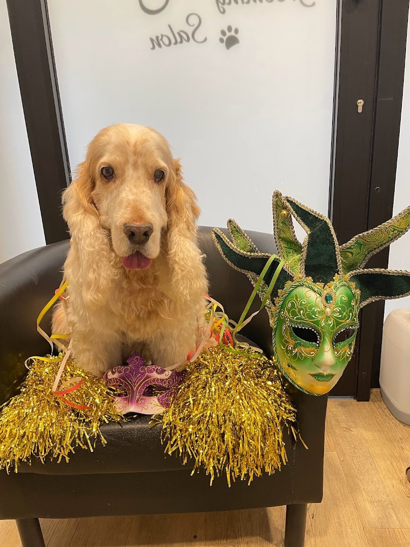 Baububbles - Toelettatura Professionale - Foto 5