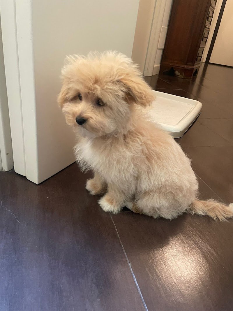 Bauhaus 179 Srl - Foto 1