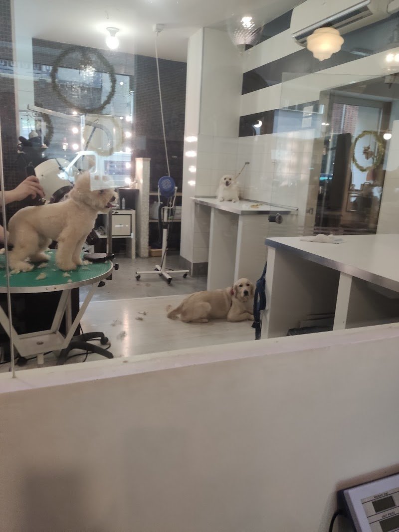 Bauhaus 179 Srl - Foto 5