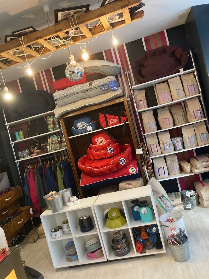 Bauhaus 179 Srl - Foto 6