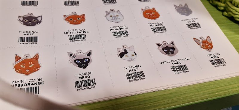 Bautiful Cinisello Balsamo - Foto 5