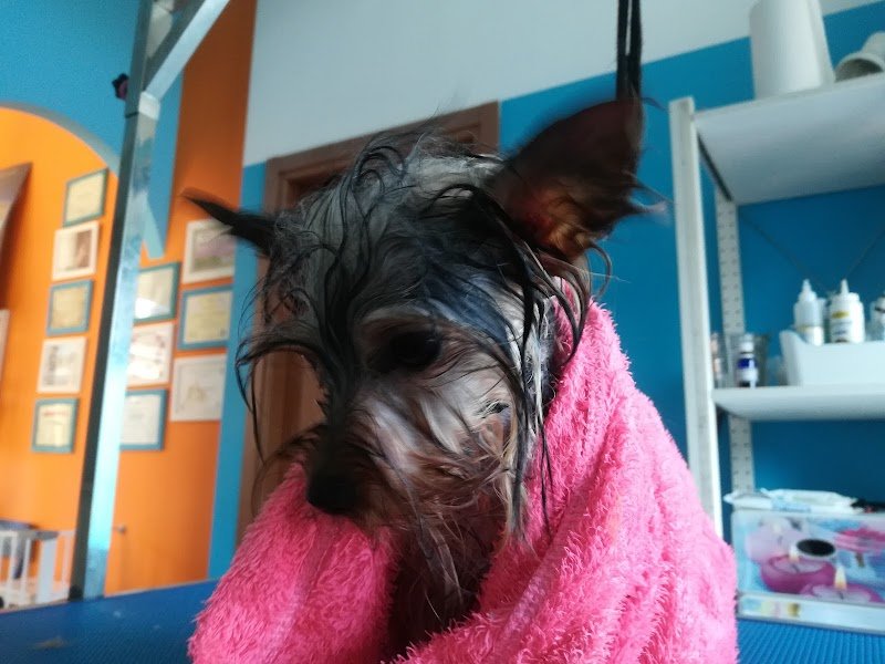 Bautiful Cinisello Balsamo - Foto 6