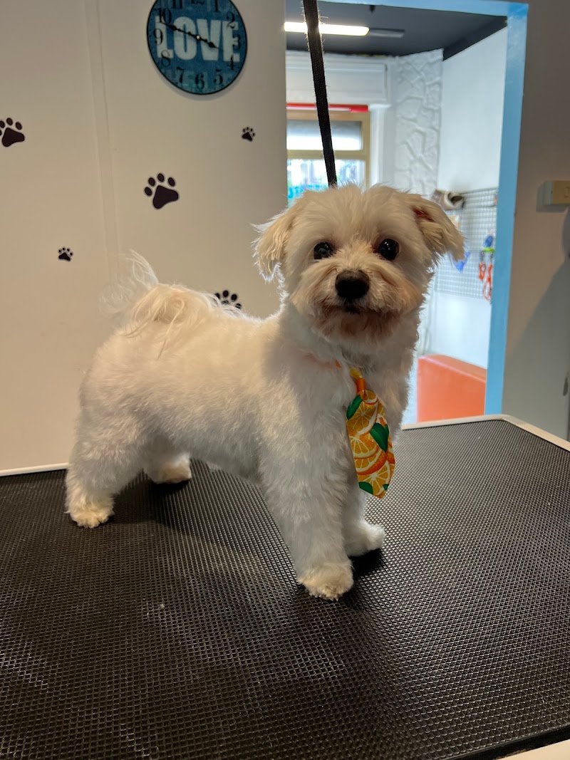 Bautiful Sesto San Giovanni - Foto 1