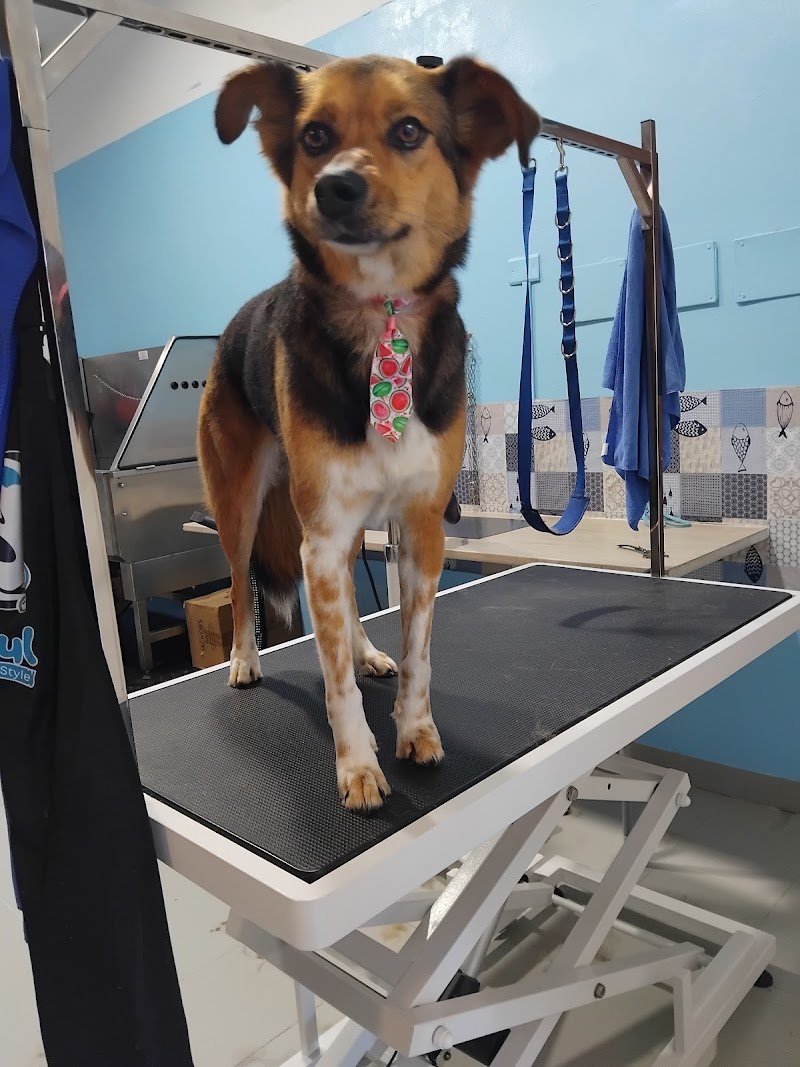 Bautiful Sesto San Giovanni - Foto 2