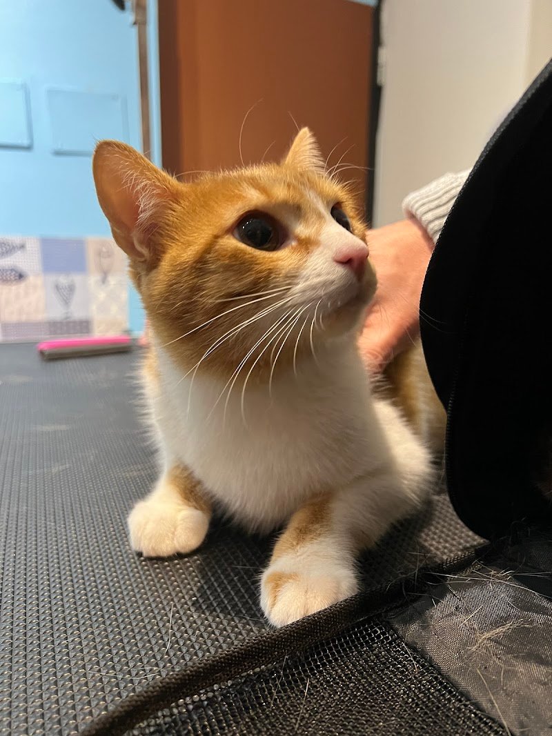 Bautiful Sesto San Giovanni - Foto 3