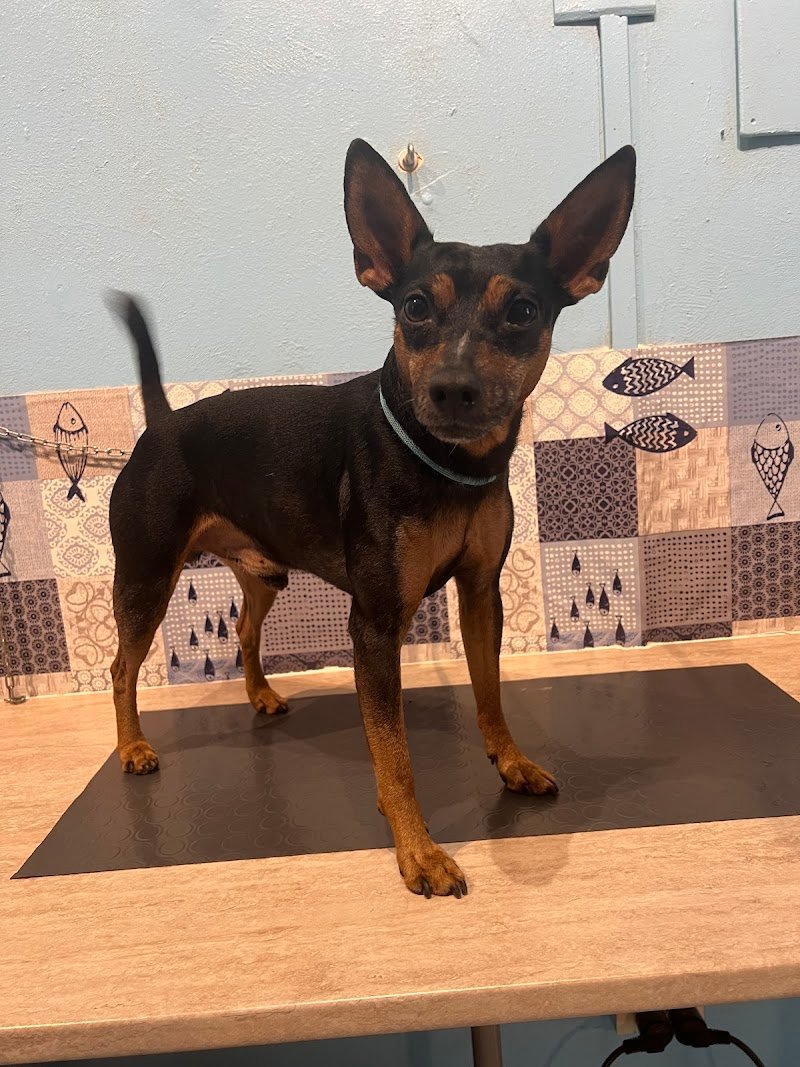 Bautiful Sesto San Giovanni - Foto 4