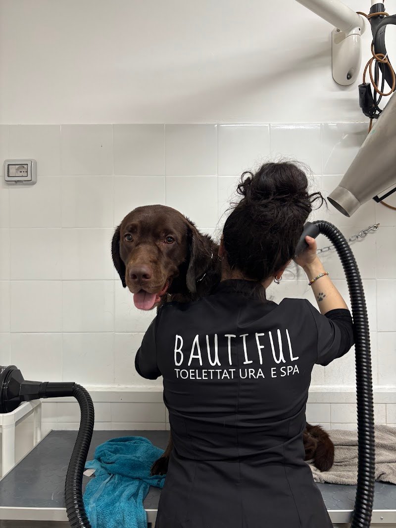 Bautiful Toelettatura - Foto 3