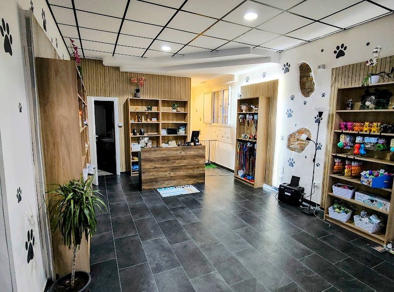 Bautique Forli-Toelettatura cani - Foto 4