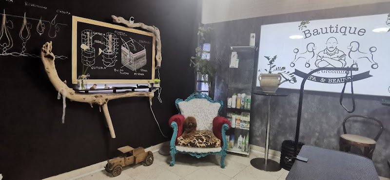 Bautique Grooming & Spa Toelettatura cani - Foto 4