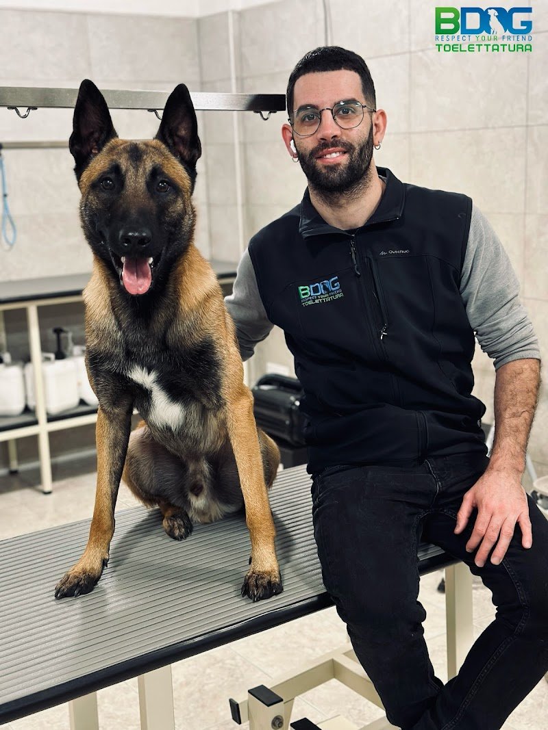 Bdog Toelettatura - Foto 3