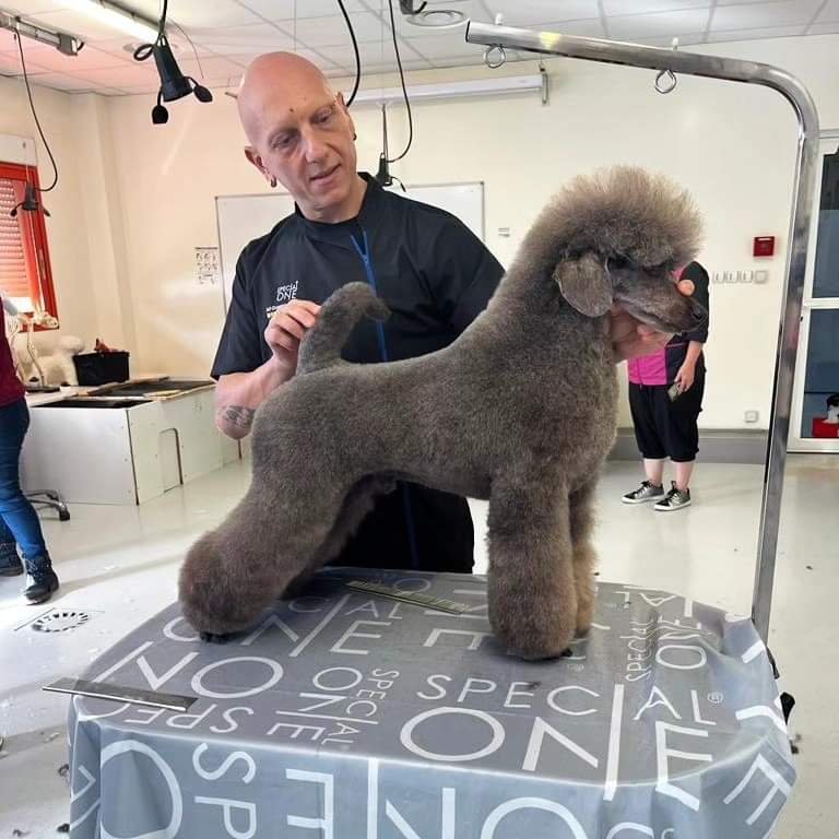 Be Dog di Giuseppe di fiore - Foto 3