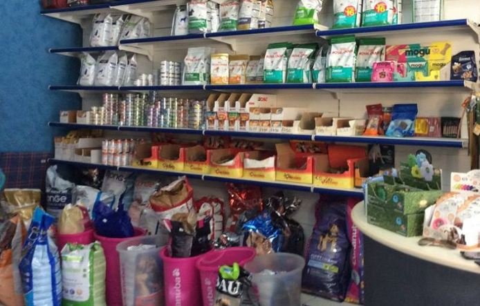 Beautiful Dog Di Alfonso Rizzo Pinna - Foto 2