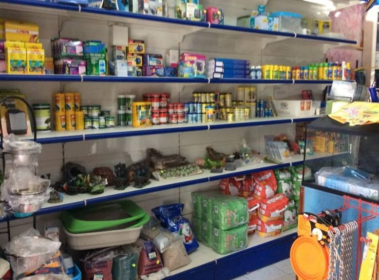 Beautiful Dog Di Alfonso Rizzo Pinna - Foto 5