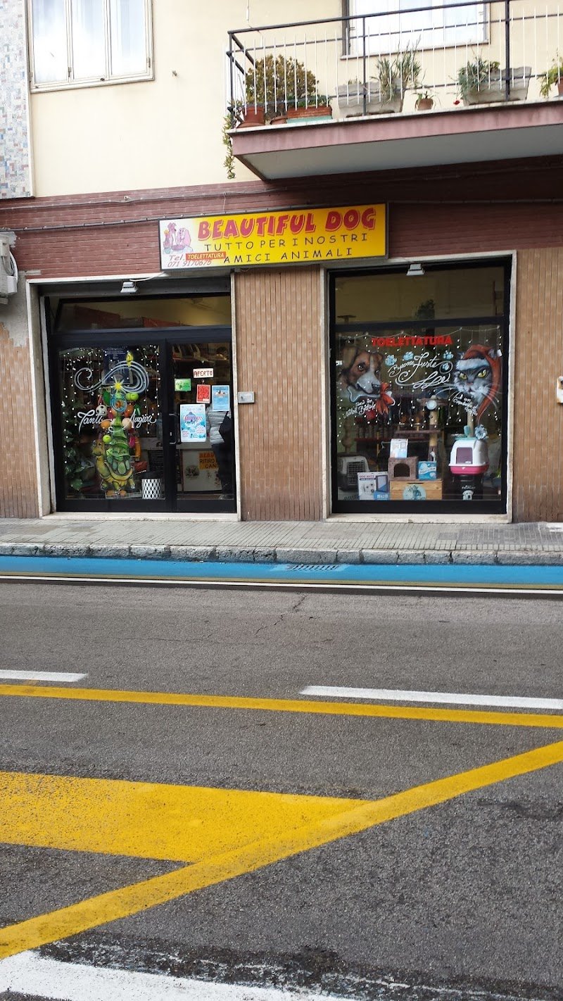 BEAUTIFUL DOG - Foto 1