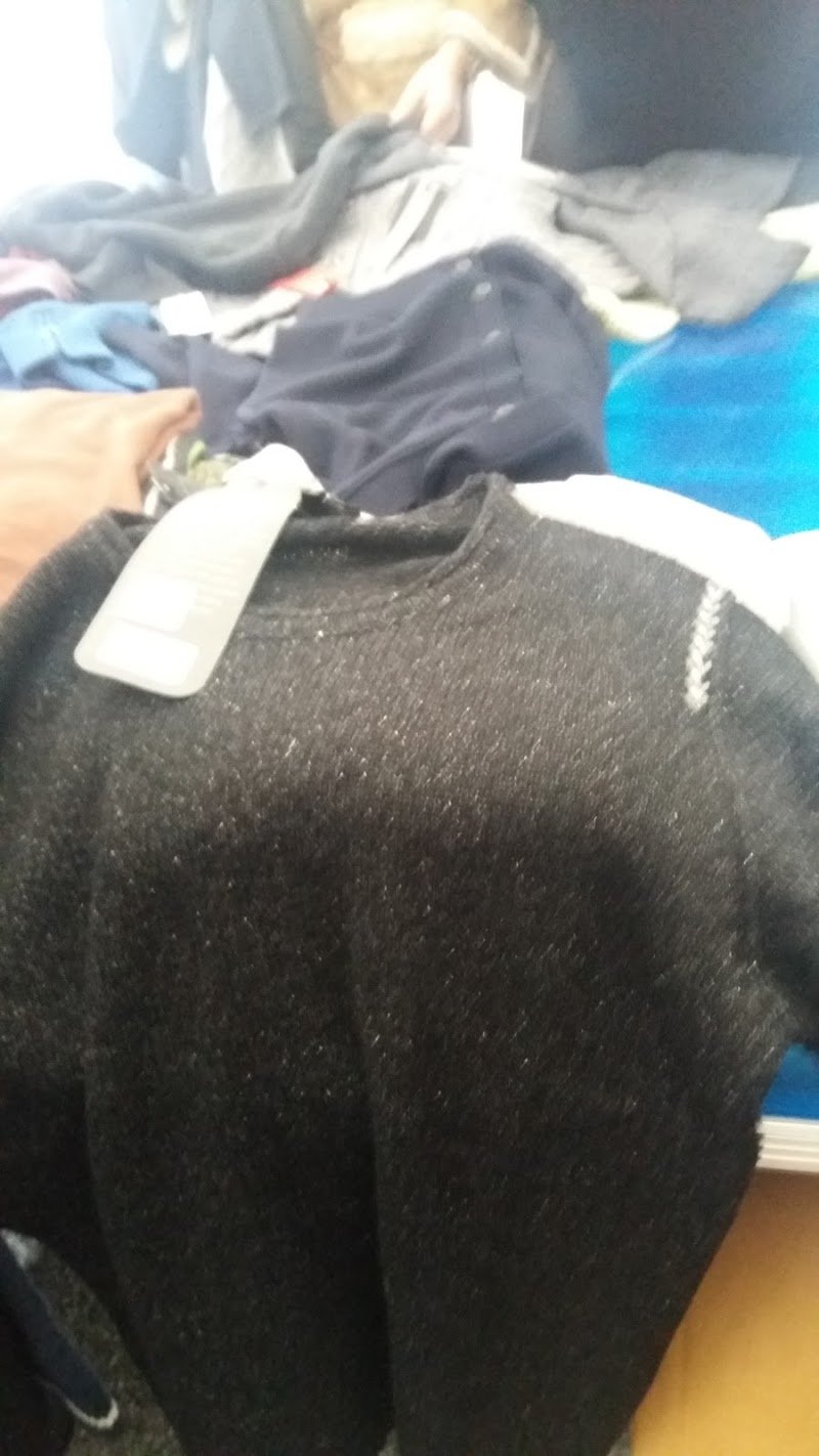 BEAUTIFUL DOG - Foto 3