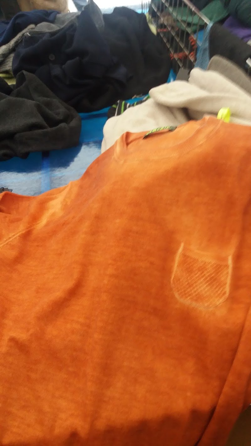 BEAUTIFUL DOG - Foto 4